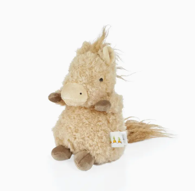 Wee Pony Boy the Horse