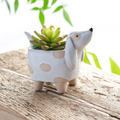 Small Dog Planter