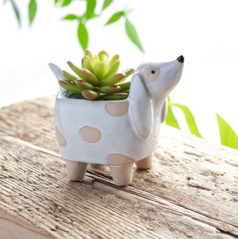 Small Dog Planter