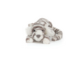 Sacha Snow Tiger Little