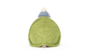 Timmy Turtle Skating