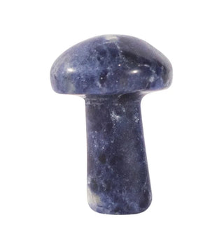 Sodalite Mushroom Mini