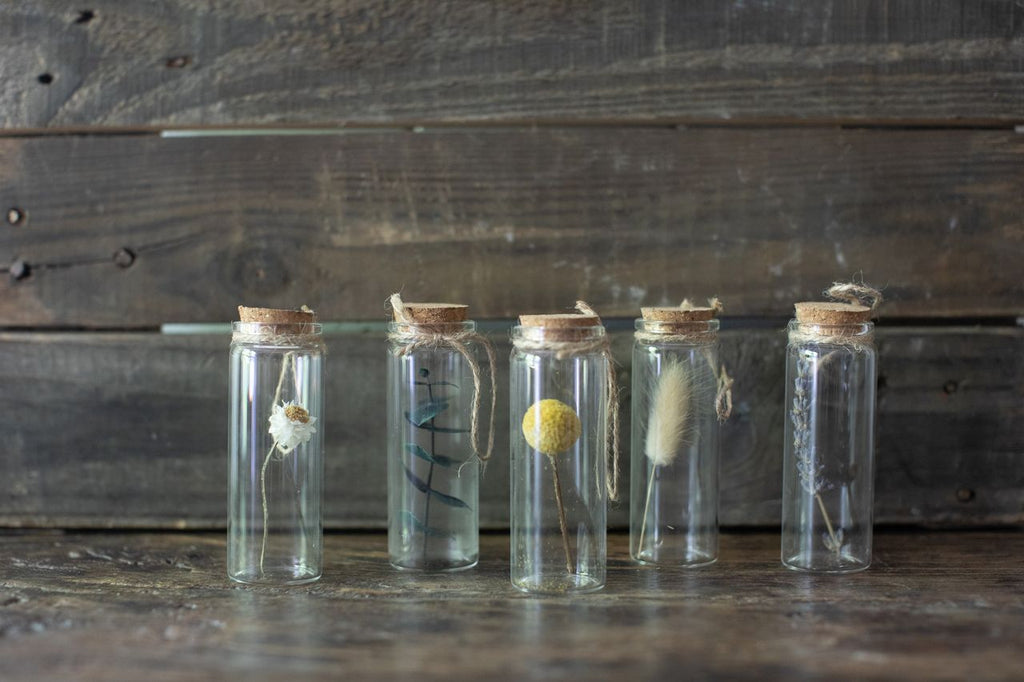 Dried Botanical Bottles with Cork & Twine