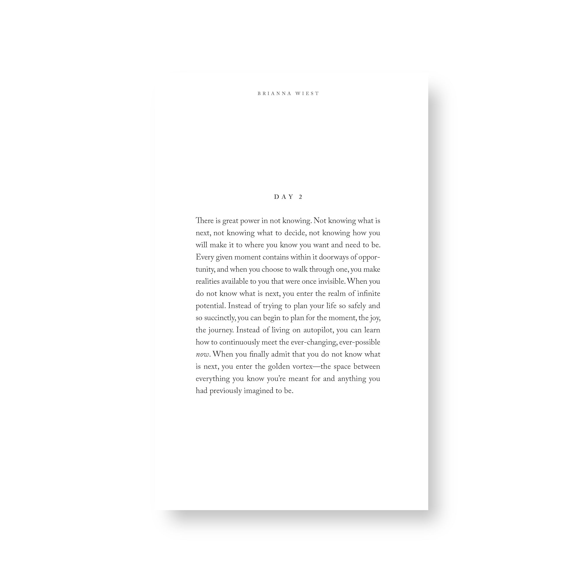 The Pivot Year - Book