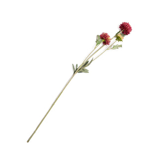 ***Daisy Bush Stem