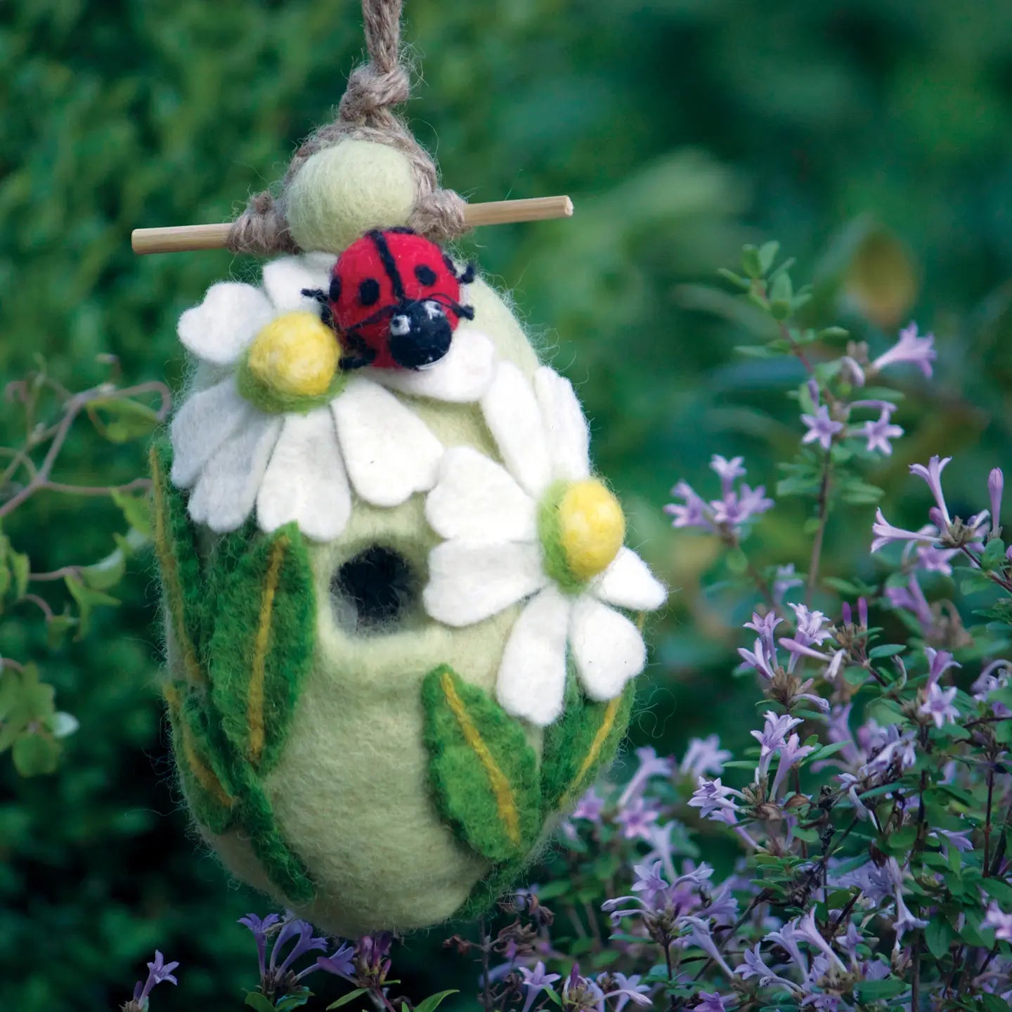 Birdhouse, Ladybug