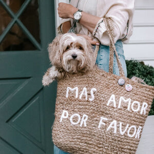 a person holding a bag with a dog