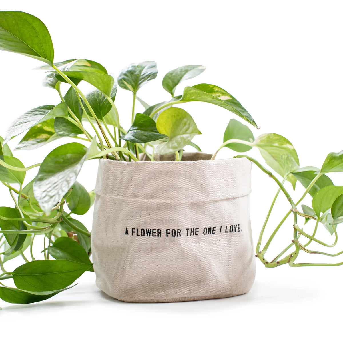A Flower For The One I Love - Large Canvas Planter