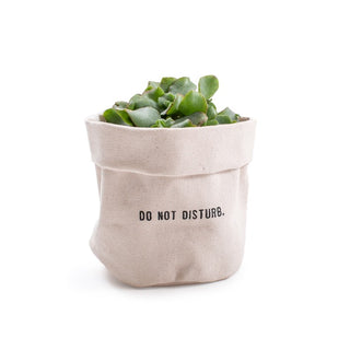***Do Not Disturb - Small Canvas Planter