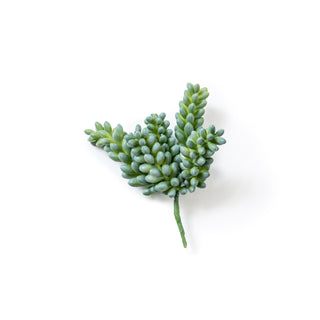 ***Sedum Succulent Pick
