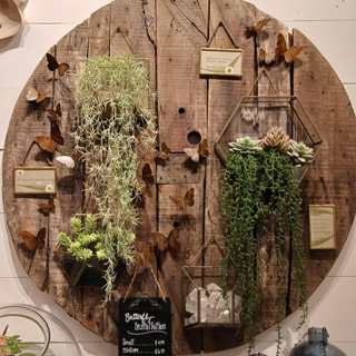 ***Square Hanging Glass Terrarium 7.25" x 7.25" x 3"