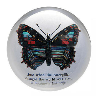 Paperweight -Butterfly