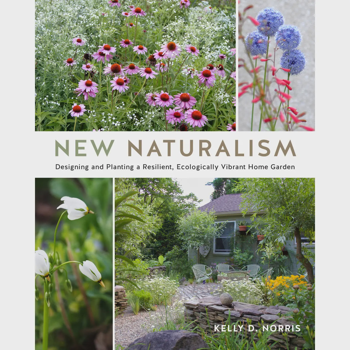 Naturalism Lettering New Naturalism – Sugarboo & Co