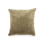Velvet Pillow