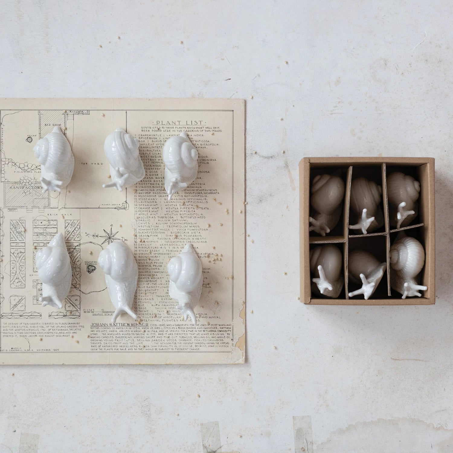 Stoneware Snails, White, Boxed Set of 6