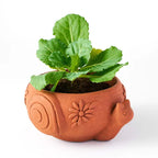 Rakshana Snail Plant Pot - Terracotta