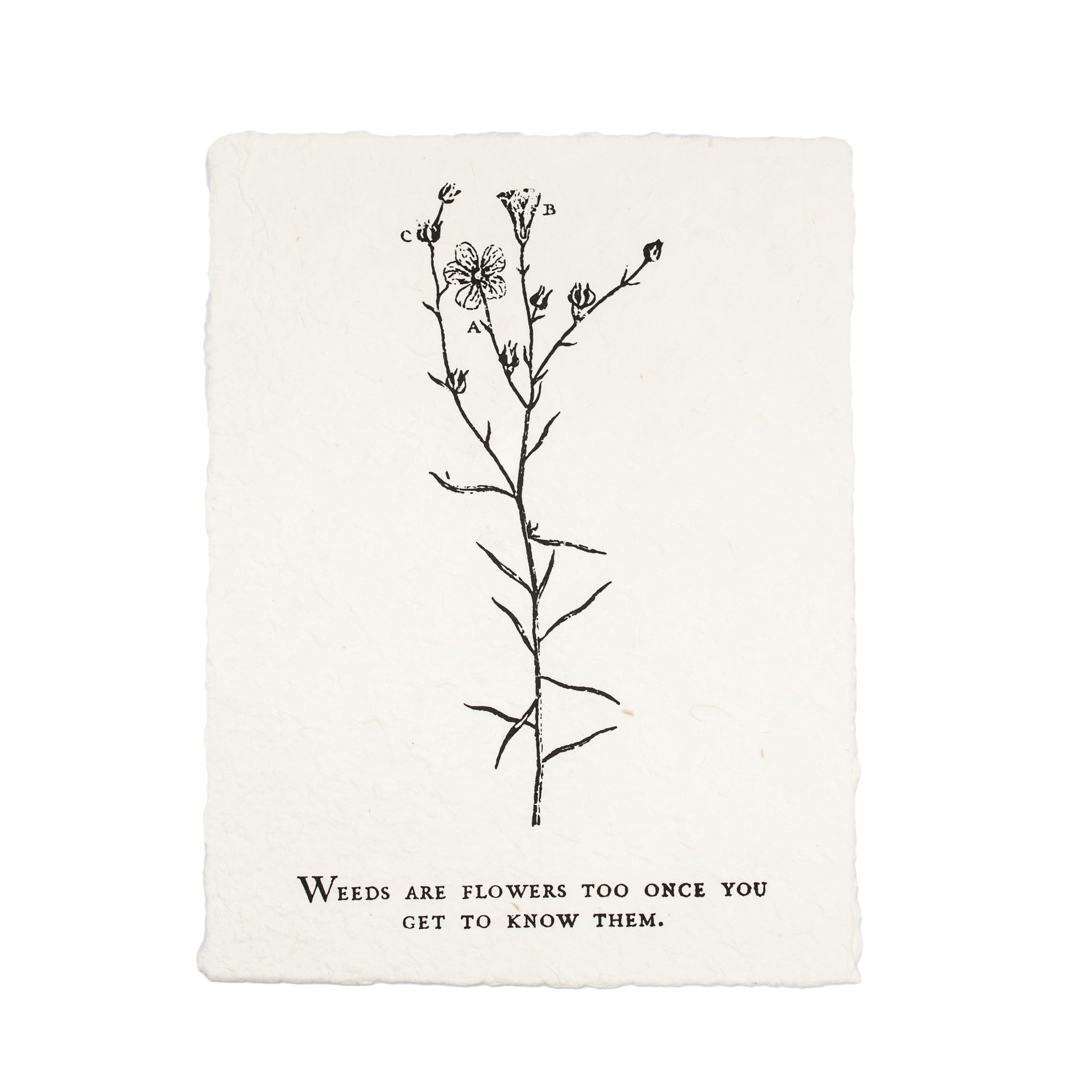 Botanical Handmade Paper Print