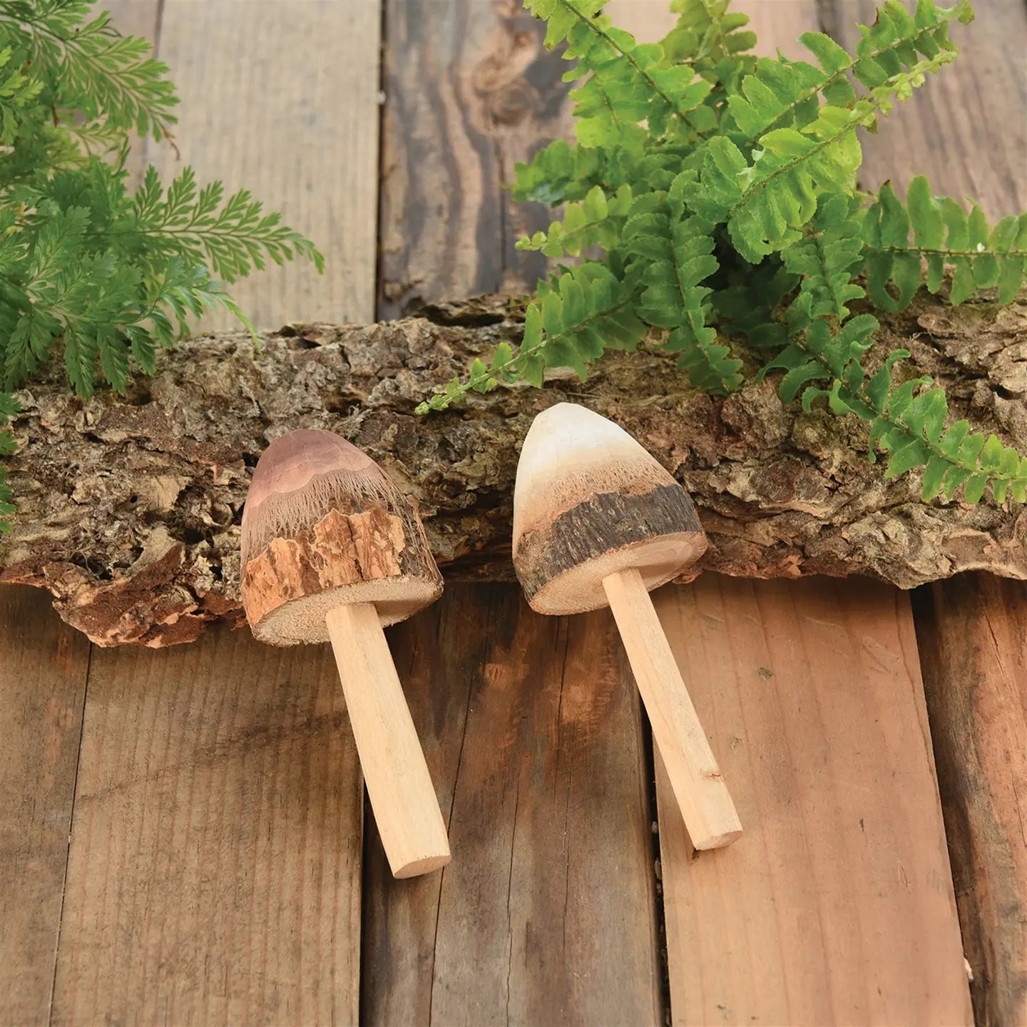Mushroom, Wood, Natural