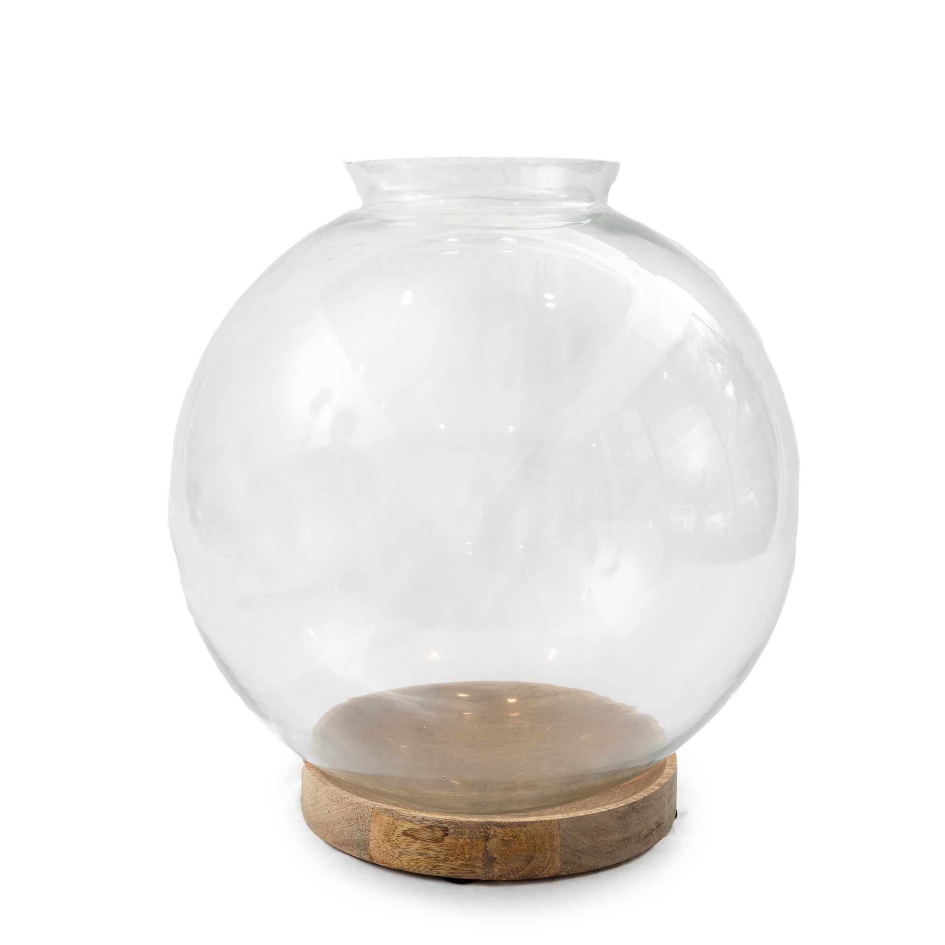 Large Glass Terrarium 16.4"x16.4"