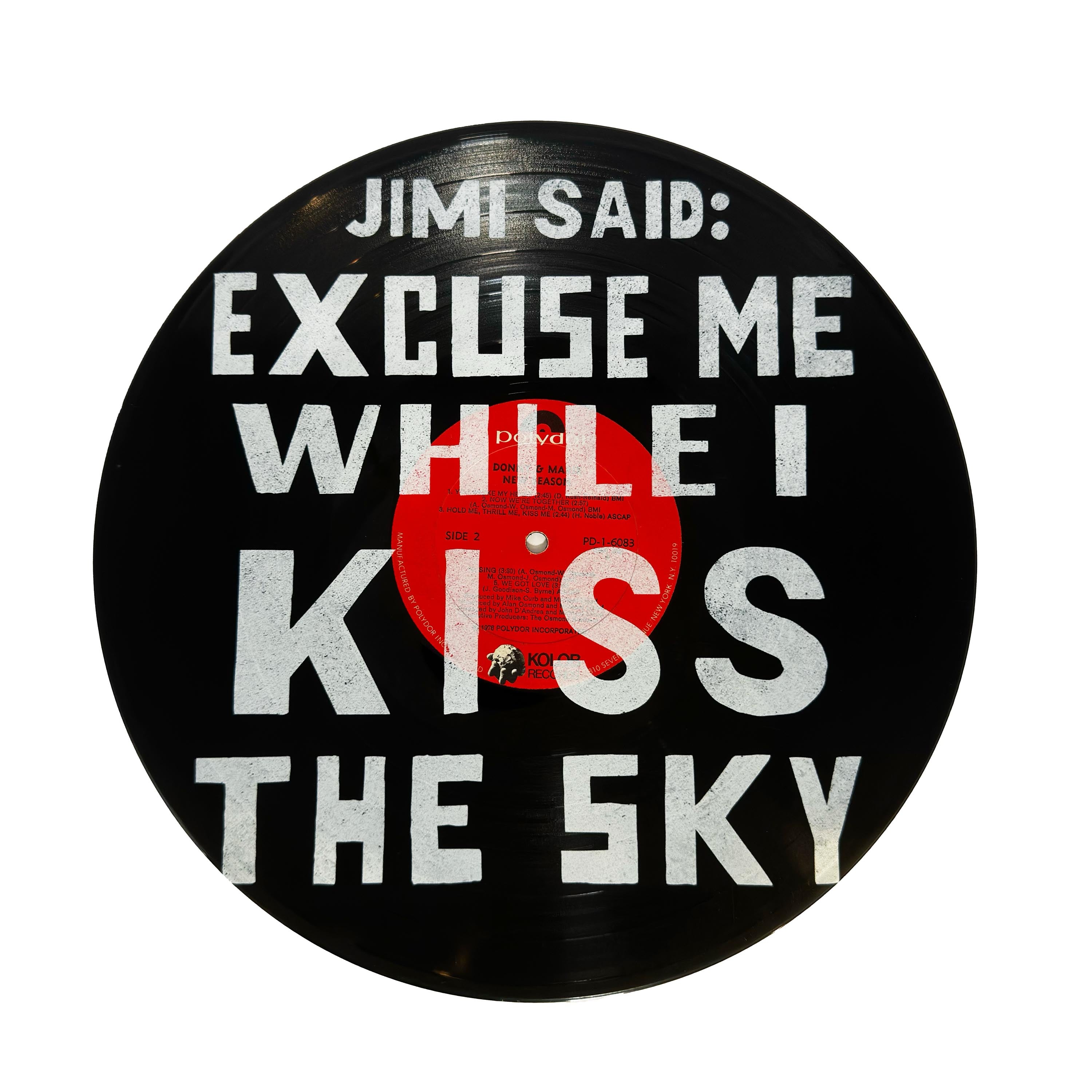 Rock & Roll Vinyl Record