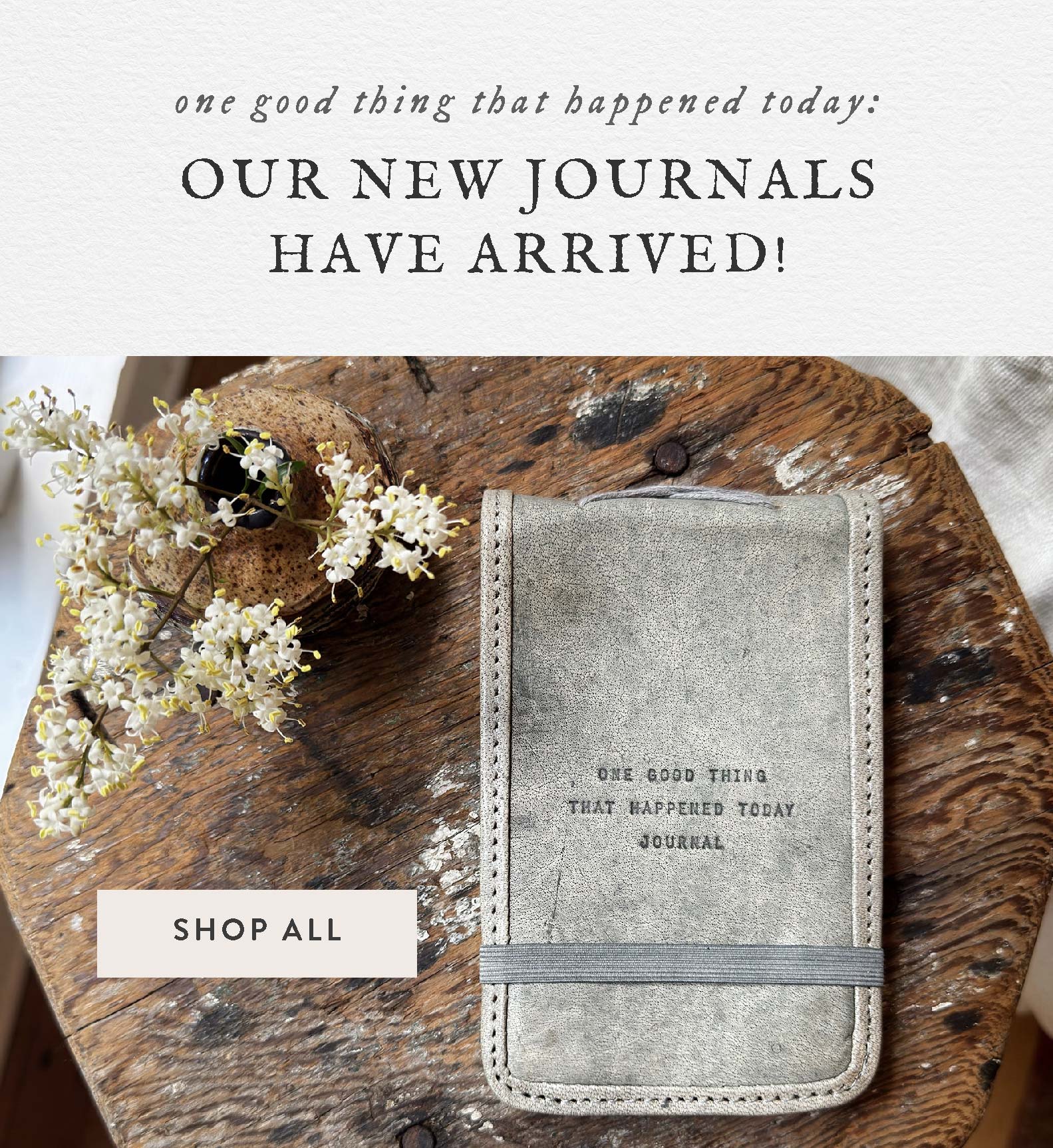 Modern Organic Home Decor | Sugarboo & Co.