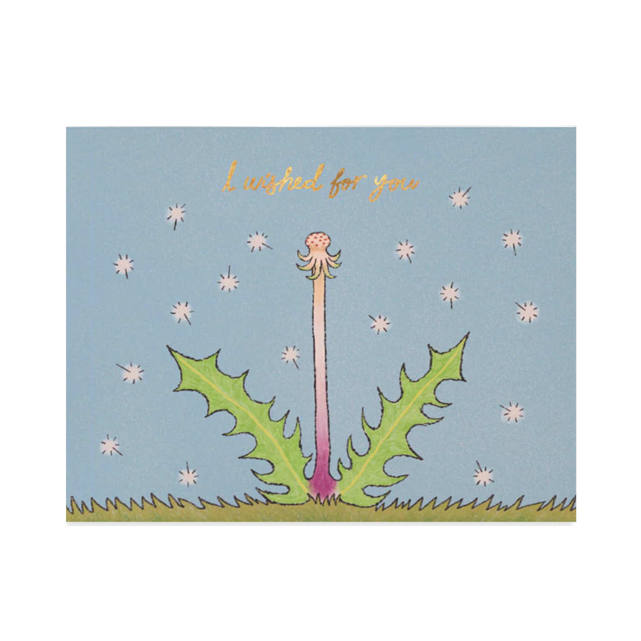 Wished for You
