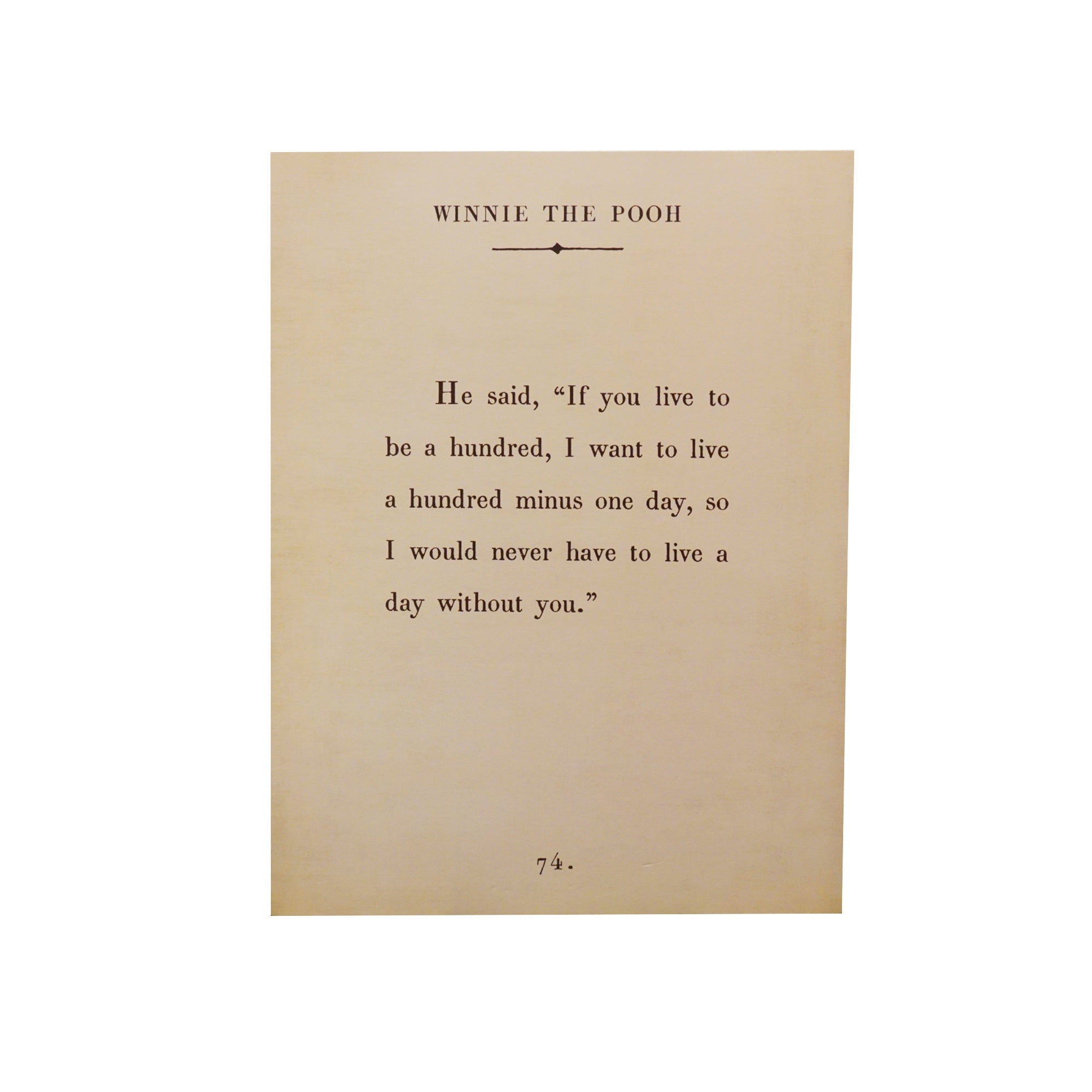 Winnie The Pooh Book Collection Art Poster