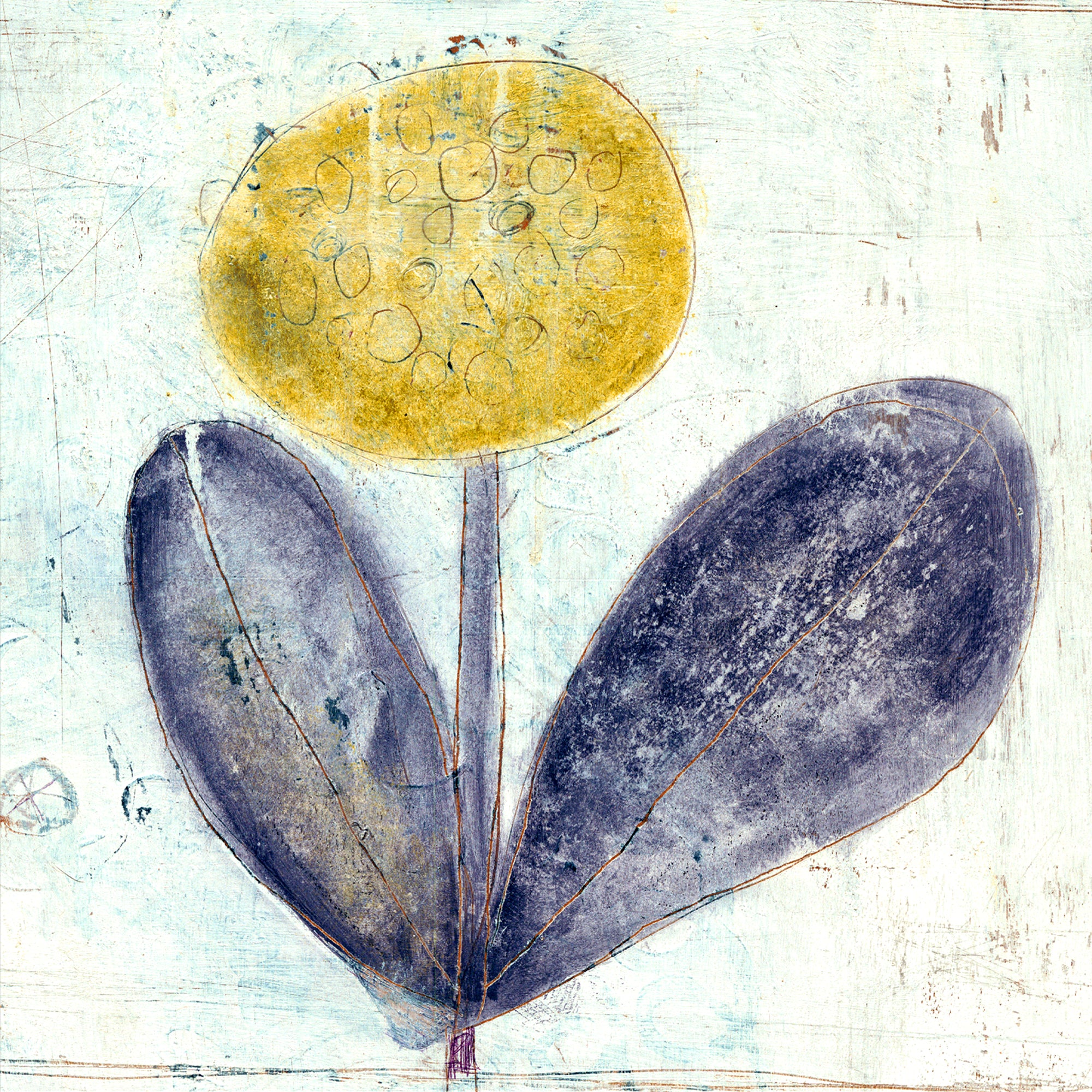 Yellow Flower with Purple Leaves