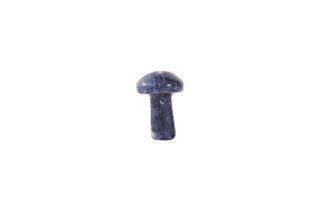 Sodalite Mushroom Mini