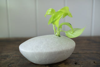 Speckled Ceramic Single Pod Vase with plant