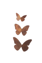 Medium Butterfly Installation
