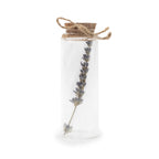 Dried Botanical Bottles with Cork & Twine
