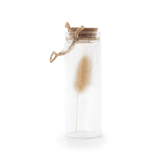 Dried White Bunny Tail Grass in a Bottle with Cork and Twine 1.5" x 4"