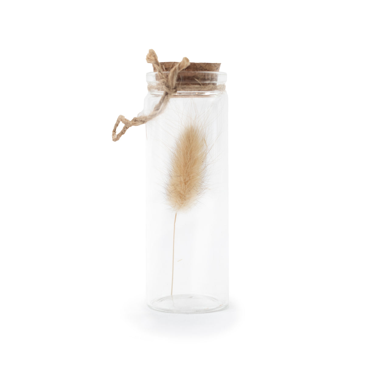 Dried Botanical Bottles with Cork & Twine