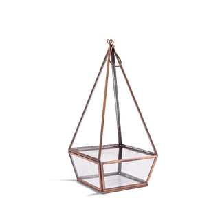 Hanging or Standing Point Glass Terrarium