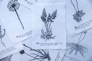 Botanical Handmade Paper Prints