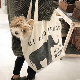 tote bag with a small fluffy dog hanging out the side