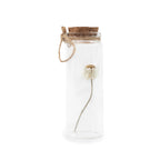 Dried Botanical Bottles with Cork & Twine