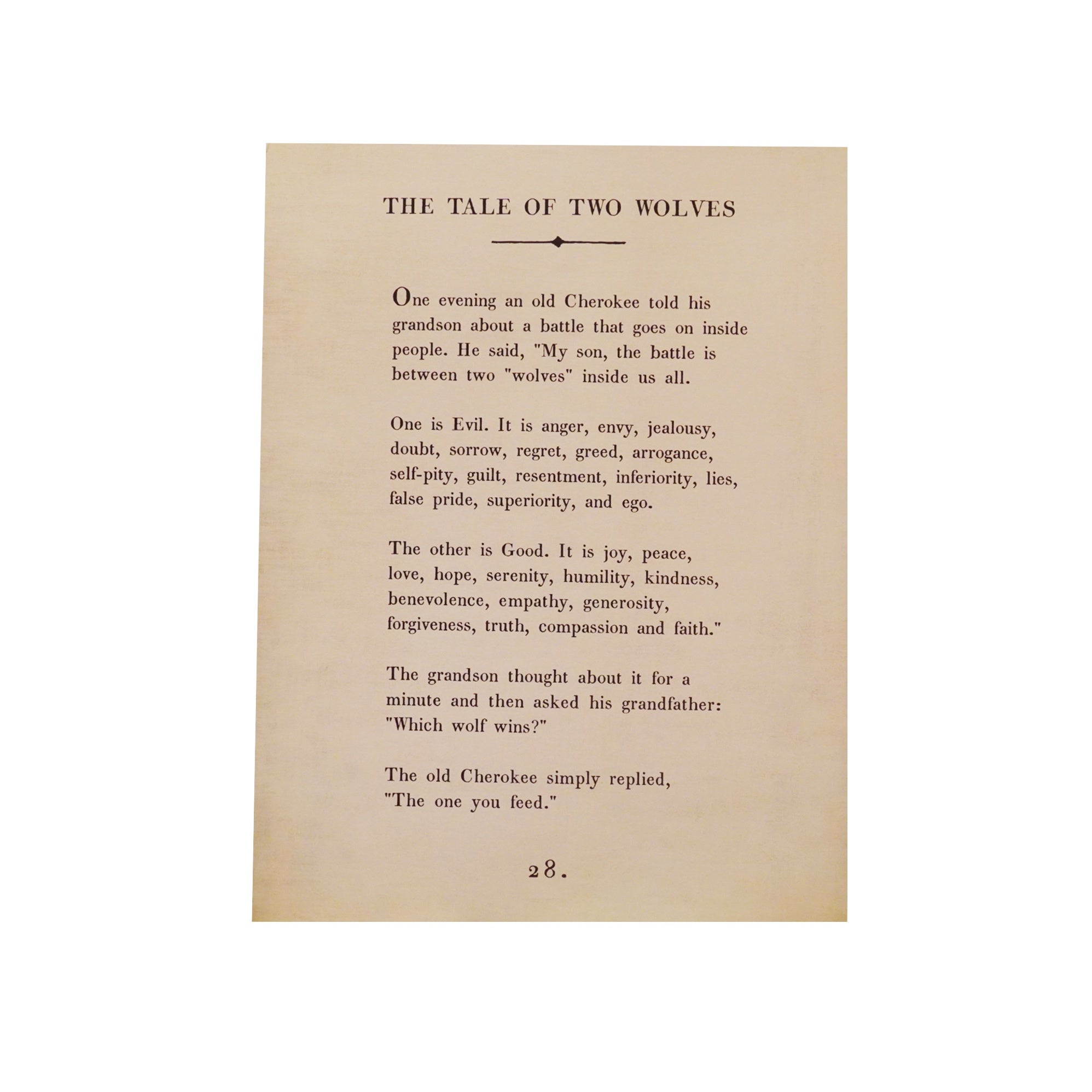 Tale Of Two Wolves Book Collection Art Poster